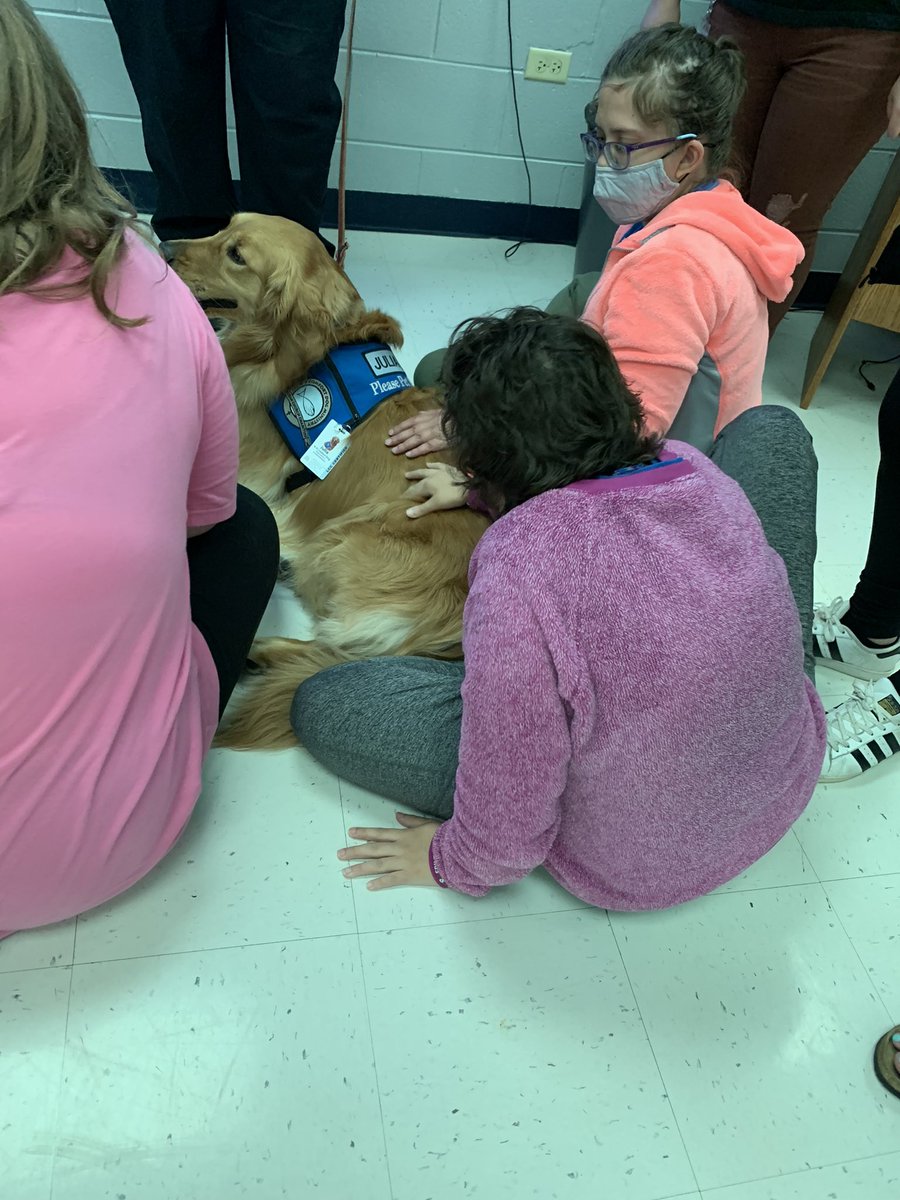 d94transition's tweet photo. Meet our new furry friend Julia! 🐶🐾🦴 https://t.co/TpJJ1Dcspc