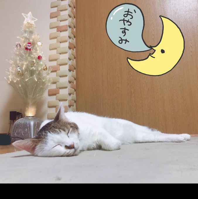 うちの子みて今日もがんばろ… 