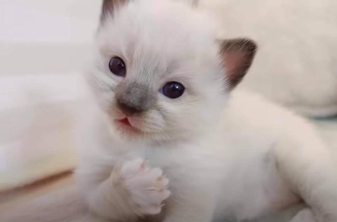 KAQuarterPony's tweet photo. Can you even believe it 🥺 https://t.co/PuP3rwVxO8