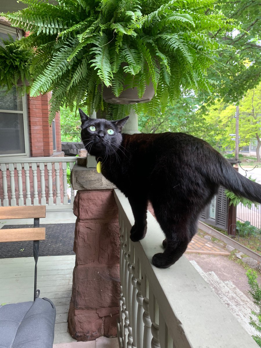 Bryan Glezerson tweet media