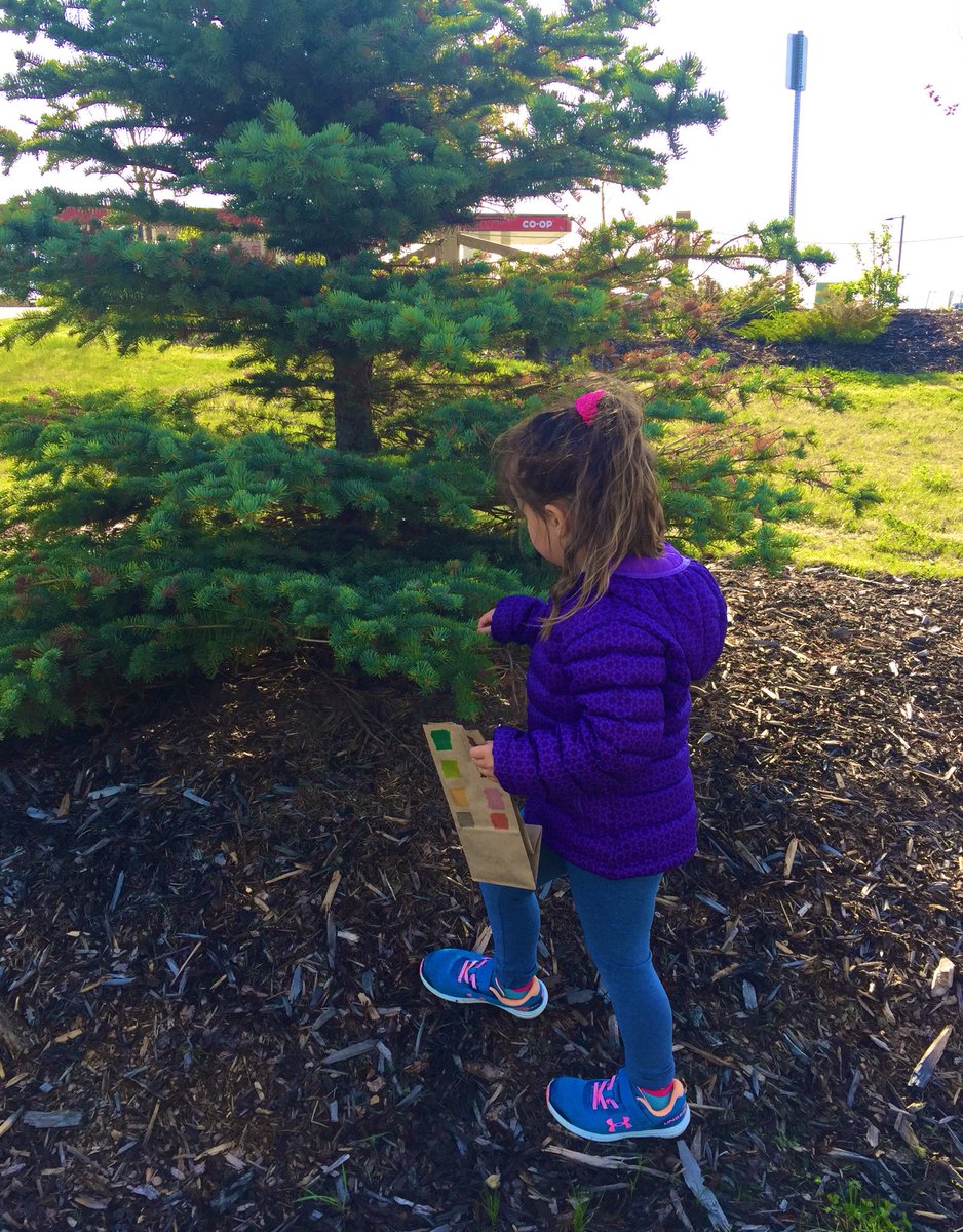 IREC Pre-K (Mrs. B) tweet media