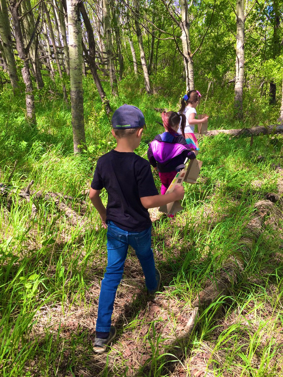 IREC Pre-K (Mrs. B) tweet media