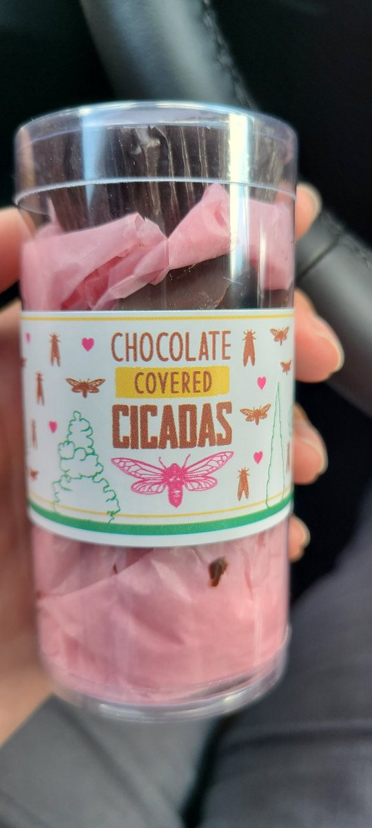 Chocolate covered #cicadas are a thing and you ought to try it. If you dare. <a href="/Chouquetteus/">Chouquette</a> #broodx