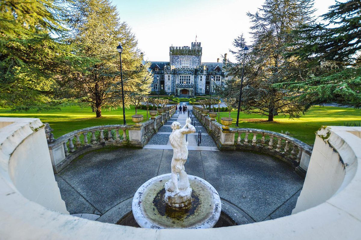 victoriavisitor's tweet photo. 📍Royal Roads University
The magnificent Hatley Castle framed by a procession of blossoming trees. The grounds are always a treat to explore! #SupportLocal #ExploreVictoriaLocal
___
📸: e.l.mackenziephotography (Instagram) https://t.co/ytzuk0tf7V