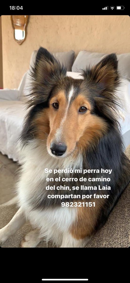 M Cecilia Ruiz Coggi (@mruizc1972) on Twitter photo 