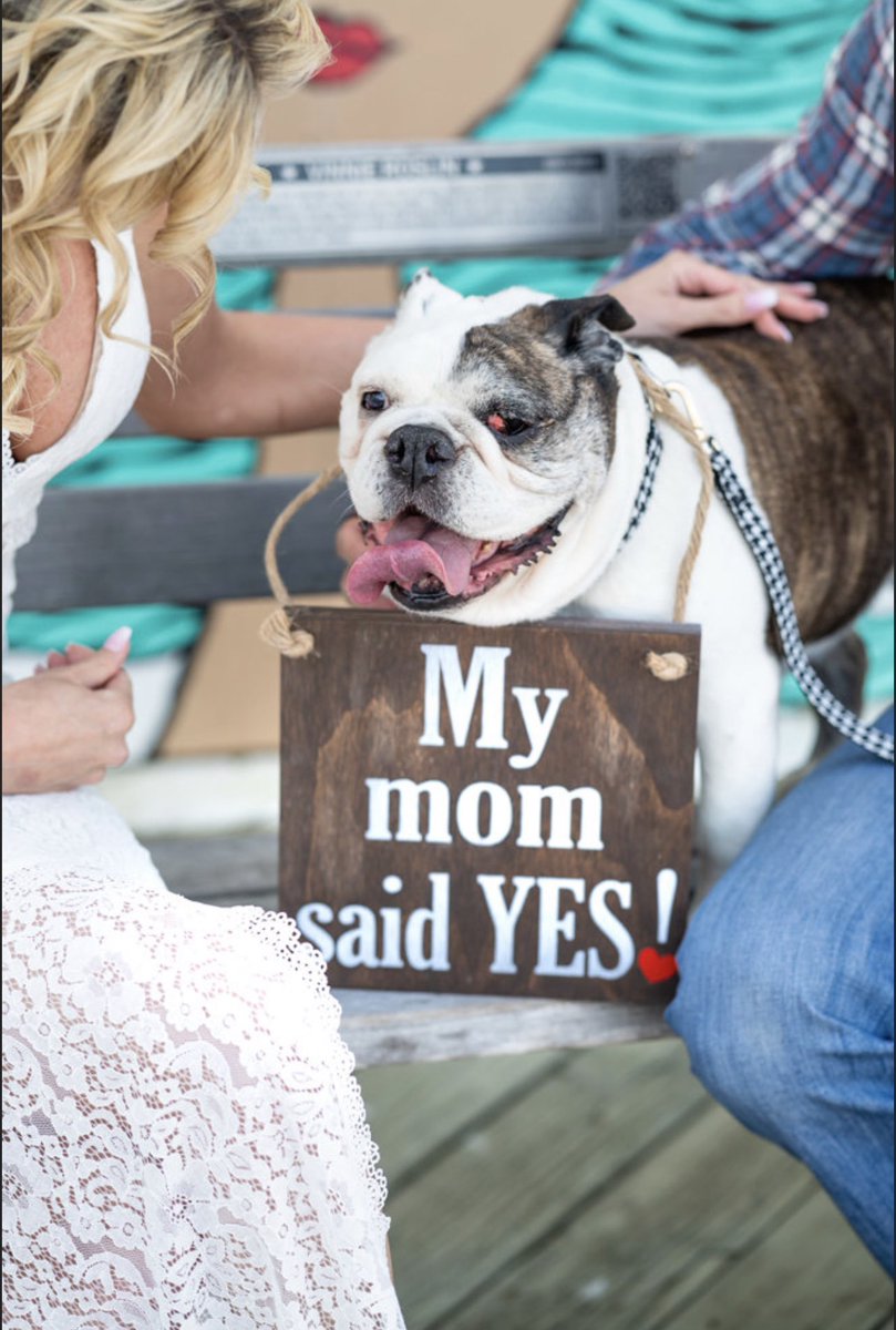 nicole_casey3's tweet photo. With a pup this cute why would my face be in our engagement pics!?! https://t.co/zb0kGgZAkh