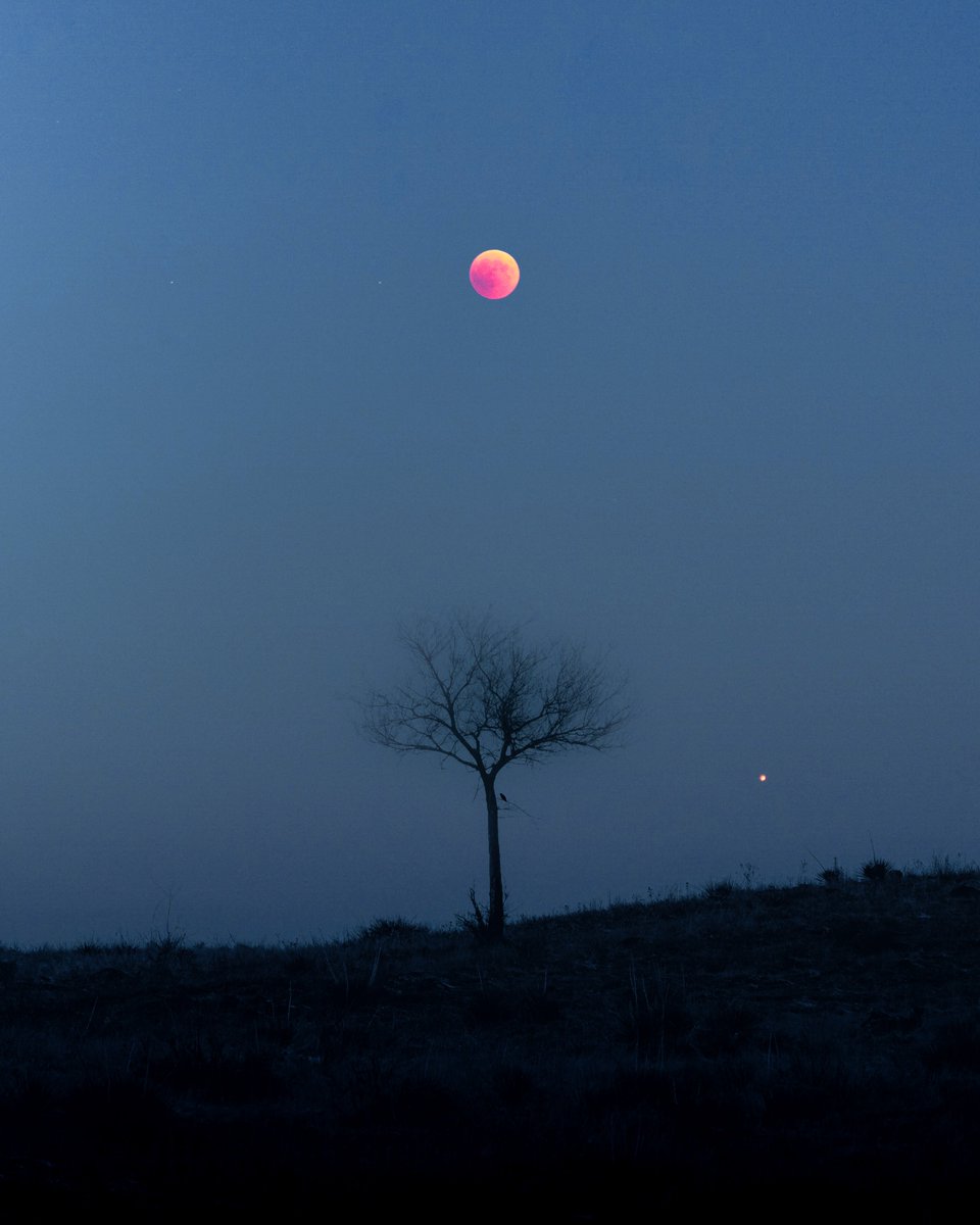 inthemeadow's tweet photo. underneath the blood moon https://t.co/wjC9cN2saj