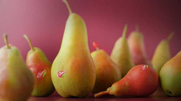 Fruitmodena's tweet photo. Le pere di Opera vincono il Macfrut Digital Video Award https://t.co/JuFTYBSZIK https://t.co/iCHt0FuxqE