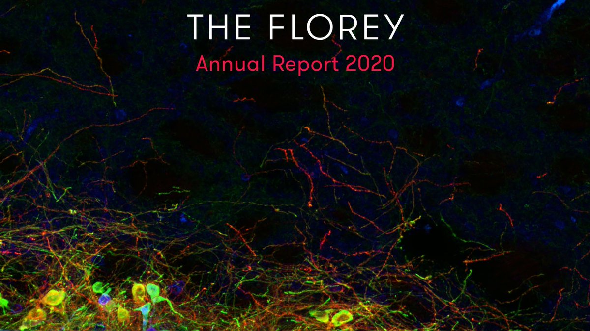 TheFlorey's tweet photo. We are delighted to share with you our 2020 Annual Report featuring highlights from the critical work performed at the Florey that had profound impact across more than 18 diseases and disorders.
Discover how we worked together to improve lives in what was an extraordinary year.👇 https://t.co/3g3QnLJf5w