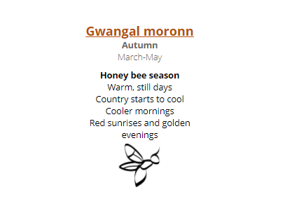 BOM_Vic's tweet image. Aboriginal &amp;amp; Torres Strait Islander people have unique knowledge of the environment, developed over thousands of years. Did you know the Gariwerd/Grampians region has six seasons? Gwangal moronn/Autumn is the season of honey bees. For Indigenous weather: ow.ly/zO8n50EXmGR