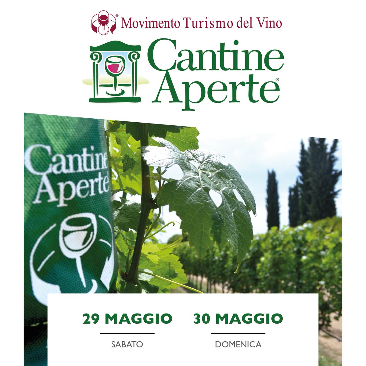 siamo pronti ecco programmi  e adesioni #CantineAperte2021 #CantineAperteCiSiamo, #VignetiAperti2021 e #MTVItalia, #MTVVeneto             bit.ly/3ulBjjL
