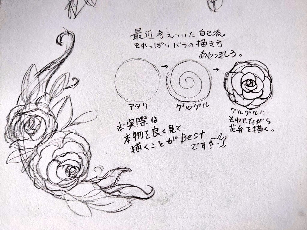 Twoucan バラの描き方 の注目ツイート イラスト マンガ コスプレ モデル Twoucan バラの描き方 の注目ツイート イラスト マンガ コスプレ モデル