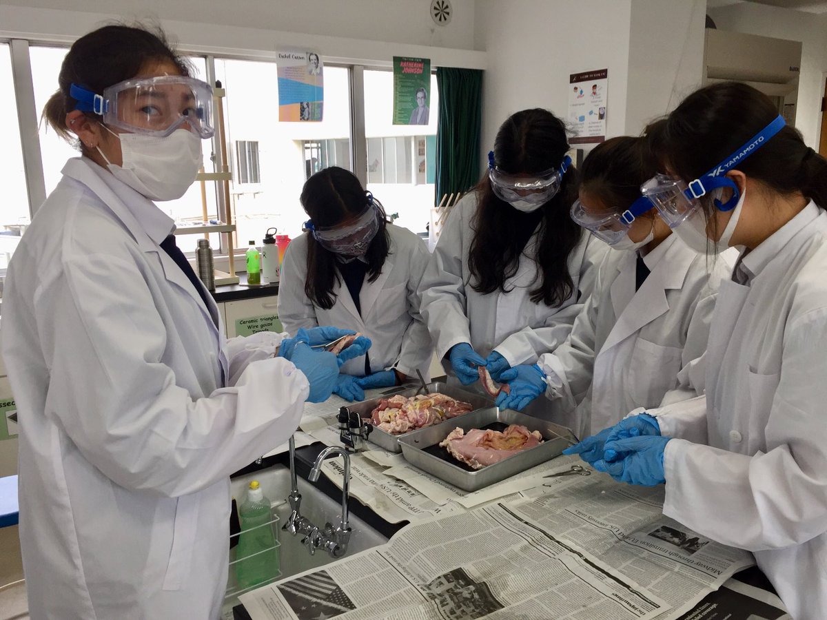 Grade 8 students are doing a dissection today in  the lab.