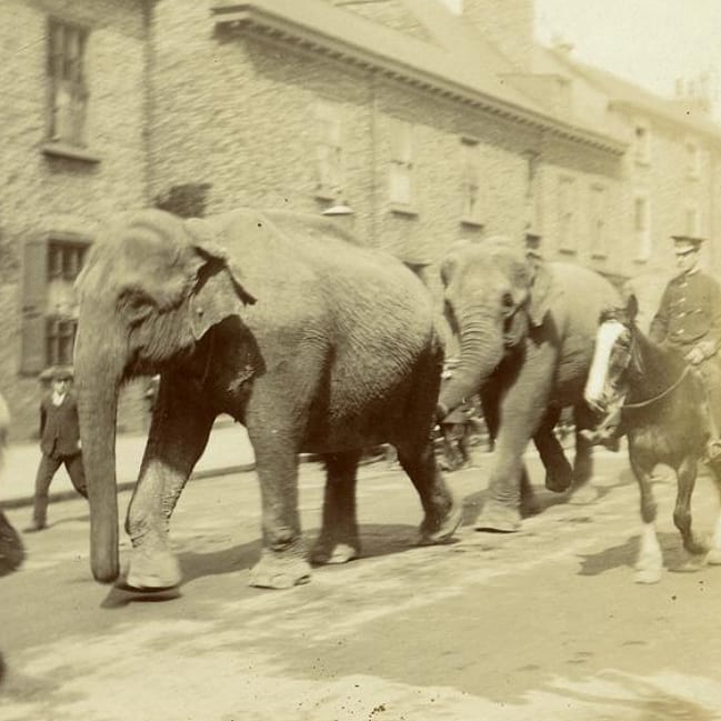 lost_york's tweet photo. Monkgate, late 1800s/early 1900s and 2021.
(Historical photograph: Explore York Libraries and Archives Mutual Ltd / City of York Council, 2021. Reference y942_842_loa_52)
#rephotography #york #lostyork #monkgate #sangerscircus #history https://t.co/qUIGDZbL4W