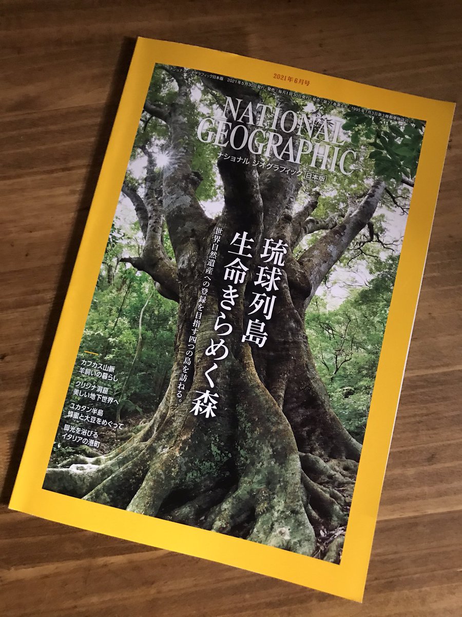 Leconte_'s tweet photo. 黄色い #キングペンギン 🤍💛🐧
National Geographic 日本版にも
掲載されていました✨
Yves Adamsさん喜んでくれるかな
ナショジオ 2021年6月号
ちょうど注目の
巨大氷山 #A68a の記事も🧊
#オウサマペンギン #南極 #ナショナルジオグラフィック #Kingpenguin #iceberg #Antarctica @NatGeoMagJP https://t.co/4rRdrsyjxh