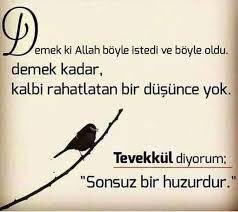 ZelalKureysan's tweet photo. #hayırlıcumalar #neyaddernek #dua #şükür #türkiyem🇹🇷 #CumamızMubarekOlsun #tevekkül #Amin https://t.co/gy4EcJYOe7