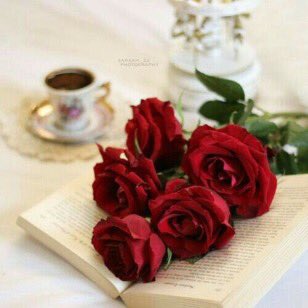 ZelalKureysan's tweet photo. #hayırlıcumalar #neyaddernek #dua #şükür #türkiyem🇹🇷 #CumamızMubarekOlsun #tevekkül #Amin https://t.co/gy4EcJYOe7