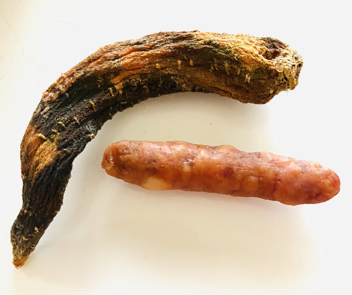 冷蔵庫掃除したら ニンジン魚とウインナー虫のかせきが出てきて反省しているところ ほんだ猫 不思議風景と猫を描くぶるべり のイラスト