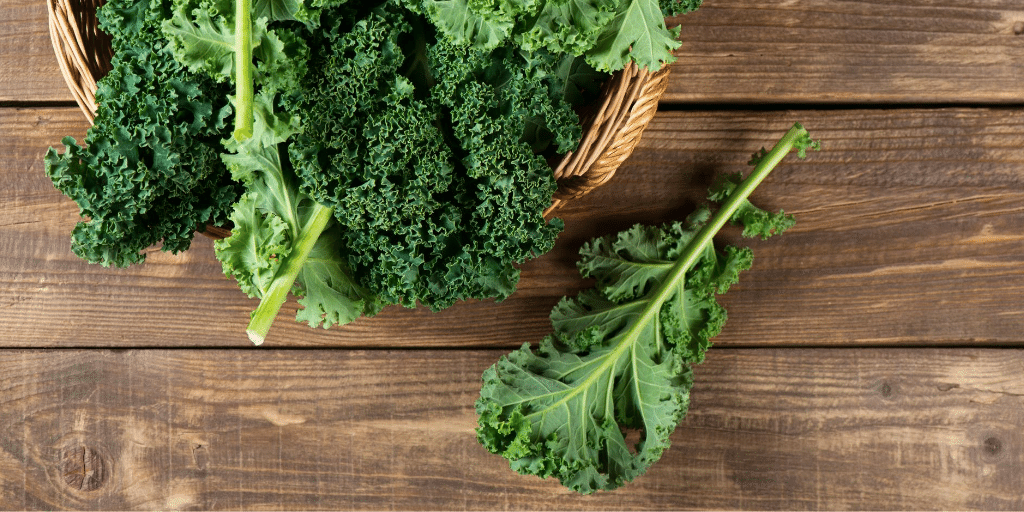 Curious about cooking with #Kale? Check out our tips, hints and recipes at buff.ly/3i1wrOa