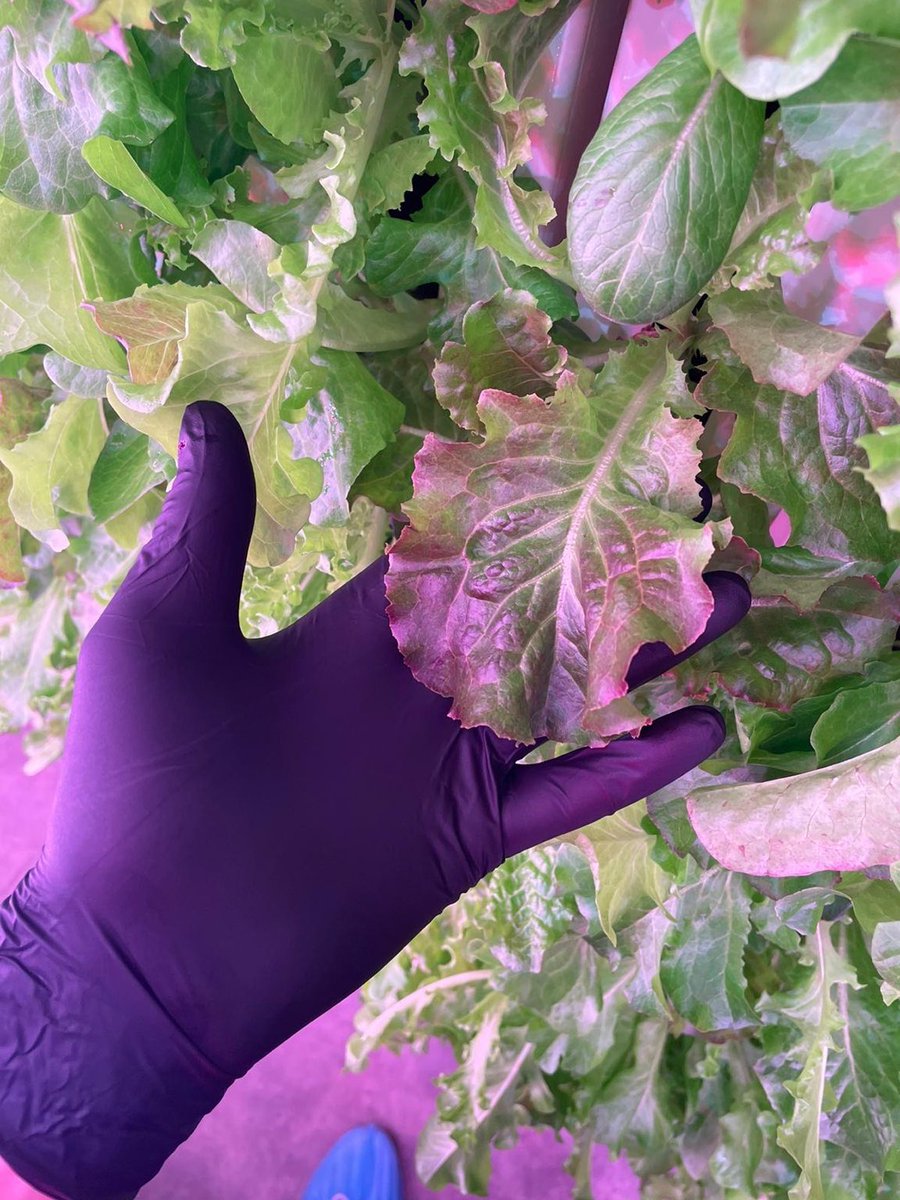 2021Farms's tweet photo. $GMEV more photos to go along with the earlier video!    Things are moving forward! https://t.co/Y0wO0hIDmD