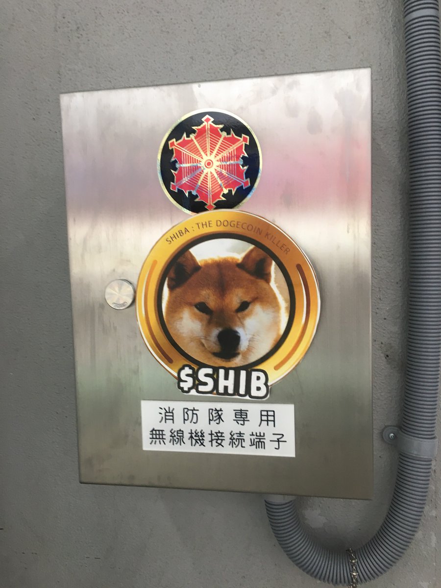 SHIBjpn's tweet photo. #shibainu #shibacoin #SHIBatoken #shibarmy #ShibaSwap #SHIBARMY #leash #bone $leash $bone $shib #ToTheMoon #crypto #cryptocurrencies #metamusk #altcoin #ATH #HOLYSHIB #ALT #BTC #ETH #shibuya https://t.co/FVcH8PNrTX