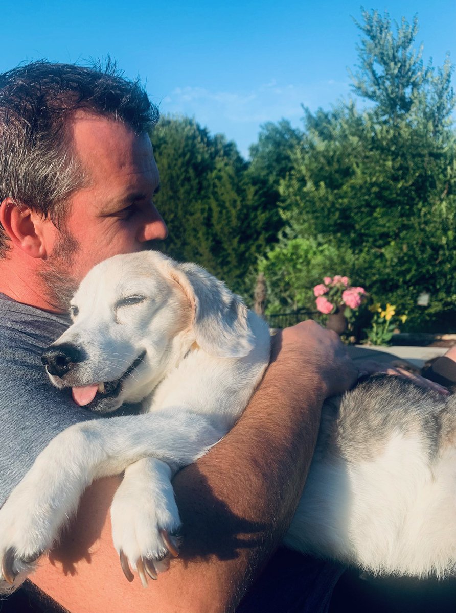 ryanmauckmd's tweet photo. Extra sad tonight.  RIP Beau.  Hard to imagine more Amazon drivers to howl at than we have at our house, but bet they are unlimited where you are going.  Epic 14 year run and great life you had.  Godspeed 🐶😢 https://t.co/8sMI0aoY7J