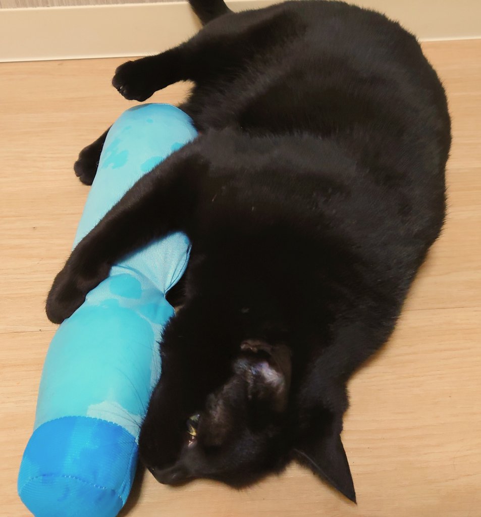 Necoco ひんやり素材の猫用おもちゃ ラムネのけりぐるみ が出ました しがみついて蹴り蹴りしやすい形です カシャカシャ素材 またたび入り 長さは約31cm うちの子たちはすぐに夢中になりました またたびの効果も大きいと思われ 目の届くところで Necoco ひんやり素材の猫用おもちゃ ラムネのけりぐるみ が出ました しがみついて蹴り蹴りしやすい形です カシャカシャ素材 またたび入り 長さは約31cm うちの子たちはすぐに夢中になりました またたびの効果も大きいと思われ 目の届くところで