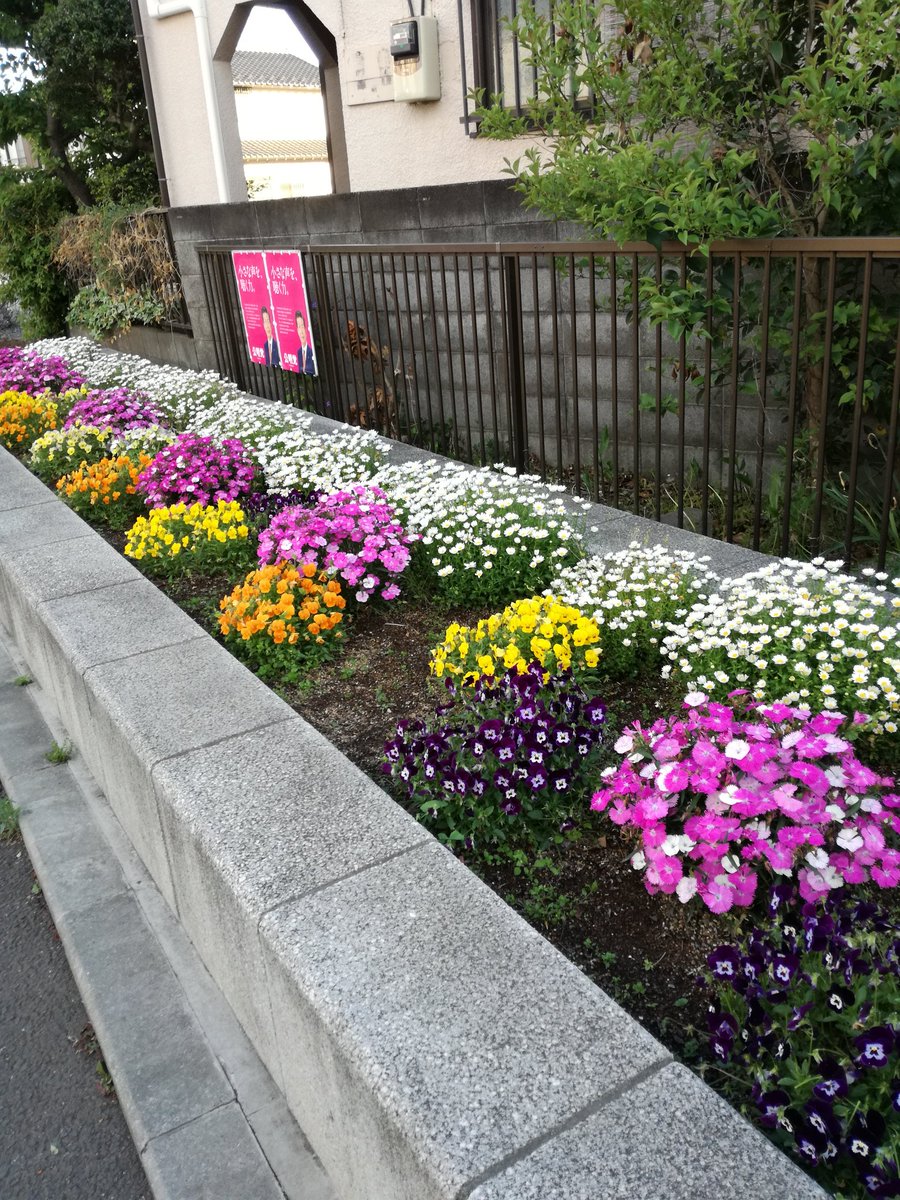 フラワーショップのぎく (@flower_nogiku) / Posts / X