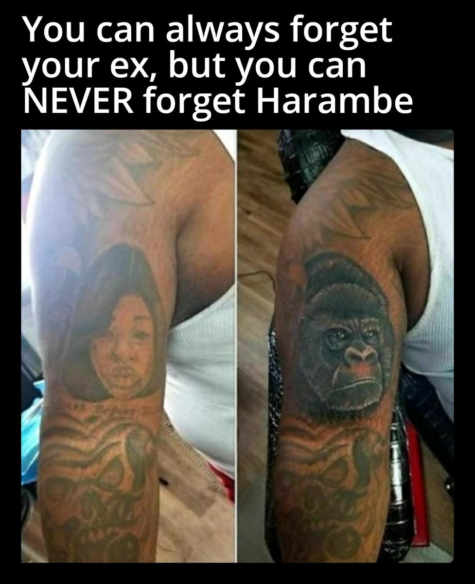 myunclesmemes's tweet photo. It's already been 5 years... we miss you Harambe https://t.co/zl2qYqkrXk