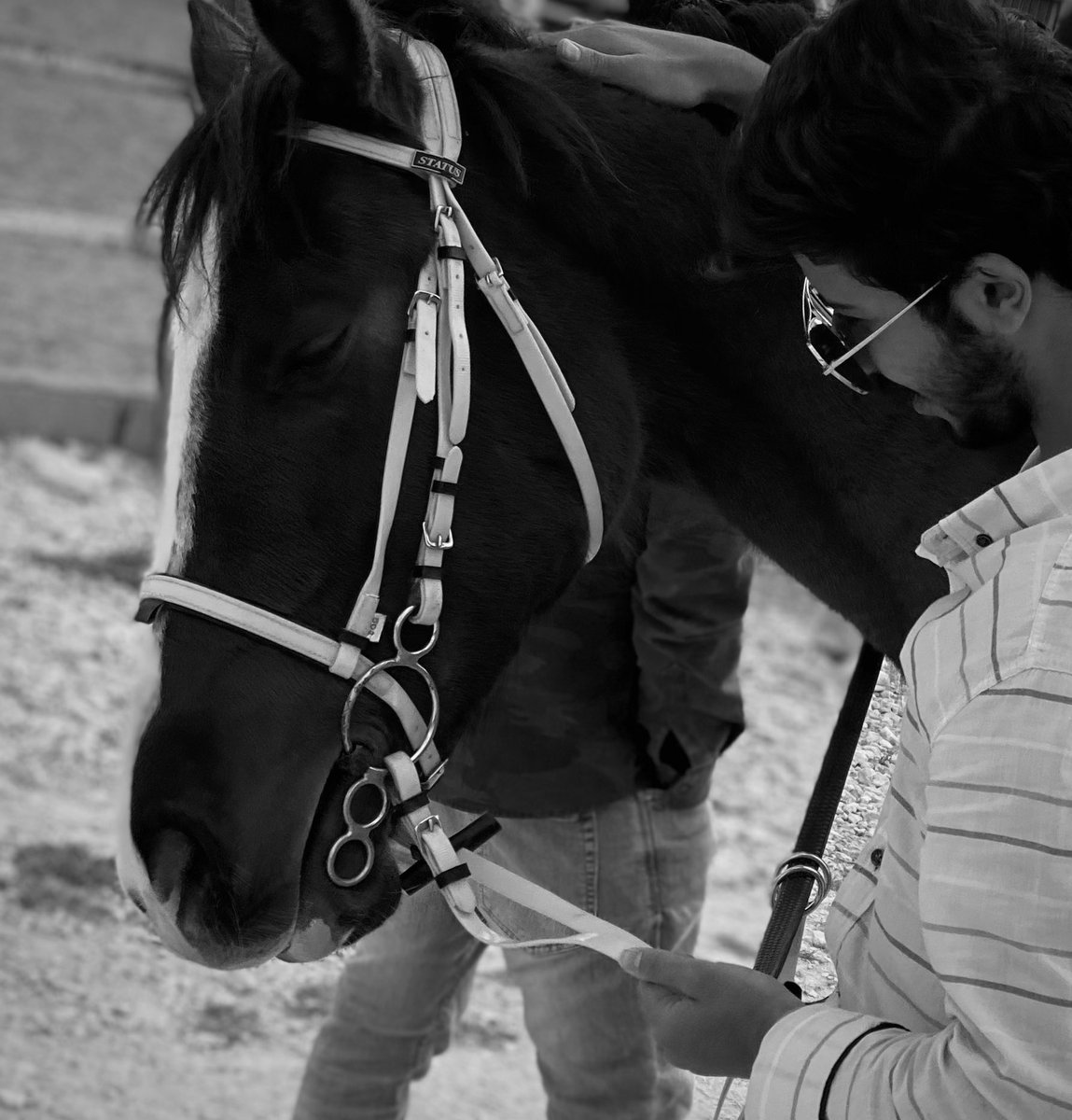 naefaldjaa's tweet photo. "لأنكِ كُل الإنتباه، أنا لا أُجد الإلتفات إلا لكِ." 🐎💛 https://t.co/3dDJD2E3UM
