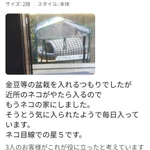 ねこ目線での★5？ほっこりするAmazonレビュー!