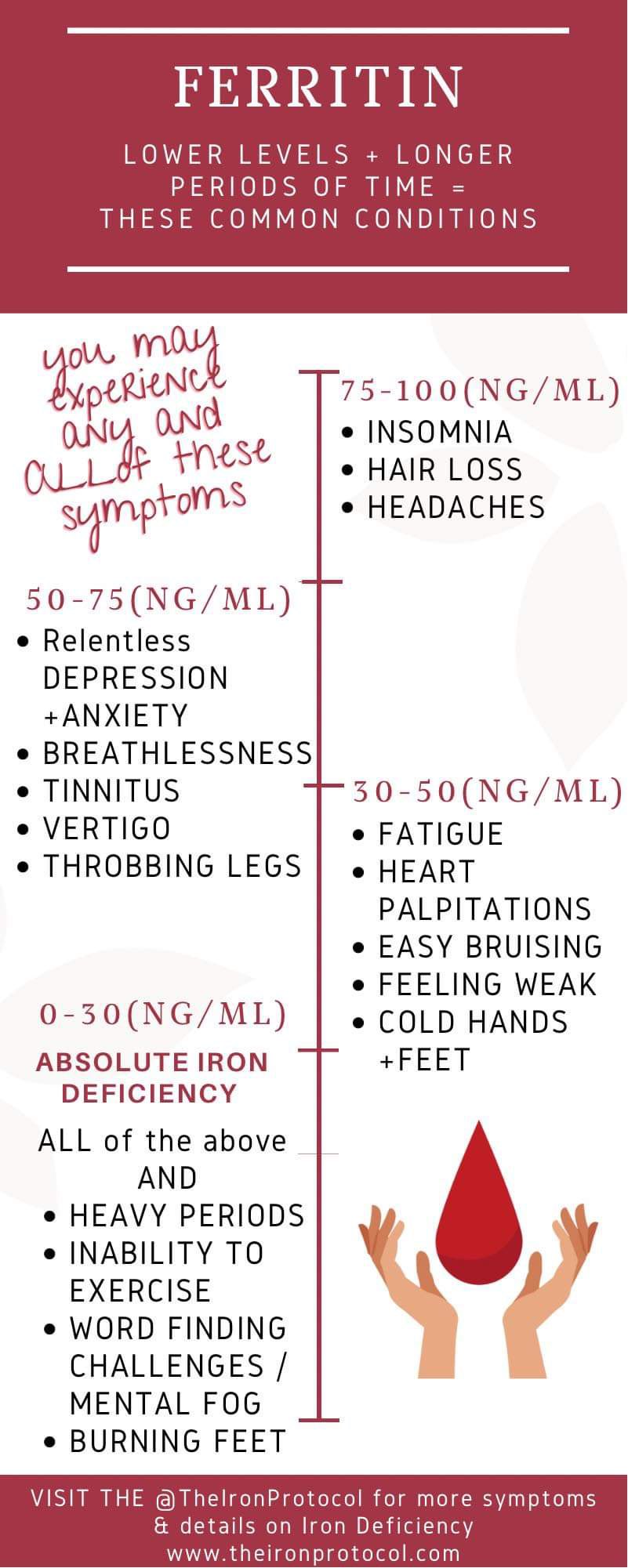 TheIronProtocol on X: Did you know many people experience #POTs #tinnitus  #depression #insomnia #brainfog and word finding issues with iron deficiency?  What's your ferritin number? #anemia #add #womenshealth   / X