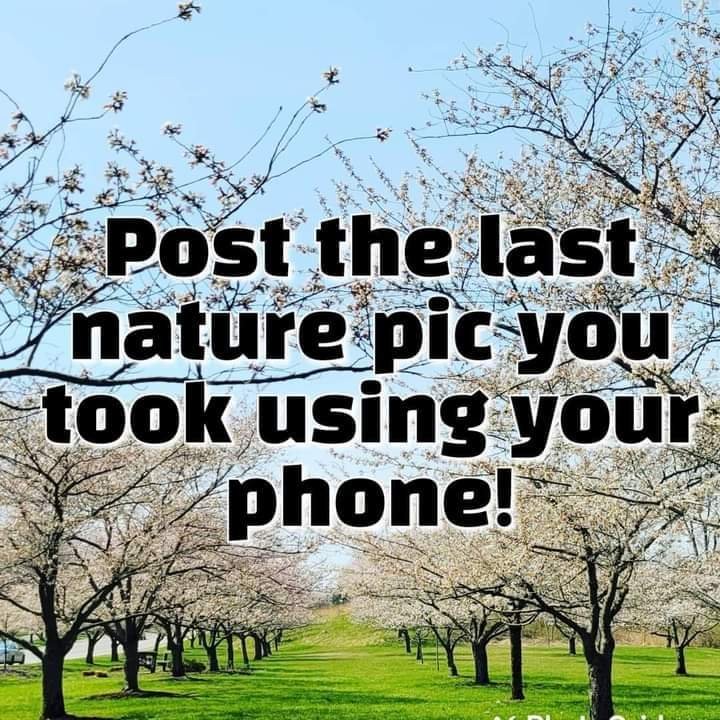•~💖~•Kelley•~💝~• tweet media