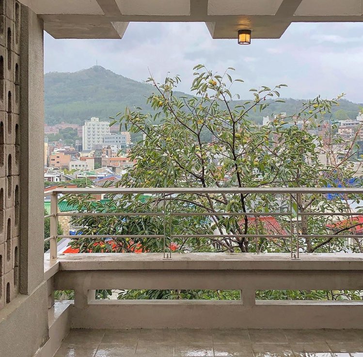 𝒎𝒐𝒐𝒅𝒆𝒍𝒊𝒄𝒂𝒕𝒆 tweet media