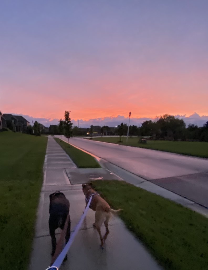 Jayhawk96's tweet photo. Chasing sunset with my boys was pretty great tonight! LOVE these #Kansas colors. ❤️🧡💛💜
#MiloAndAstroKC. #kswx #sunset https://t.co/58Vmo4OGma