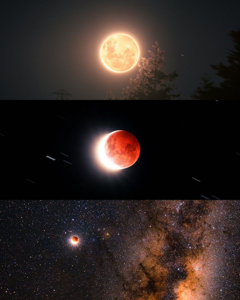 photos I took of this weeks blood moon