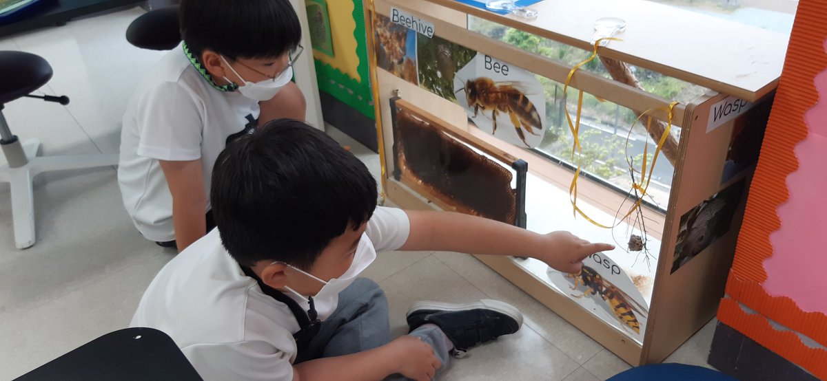 Emily_Lanteigne's tweet photo. Learning through play and self- directed exploration in the #inquirylab @SJA_Jeju. Ss are talking about erosion, how bee hives function, how shapes change, and how binoculars work all while solving problems and taking initiative with their interests. @NatalieBoydEdu #agency https://t.co/rw9IPSljiz