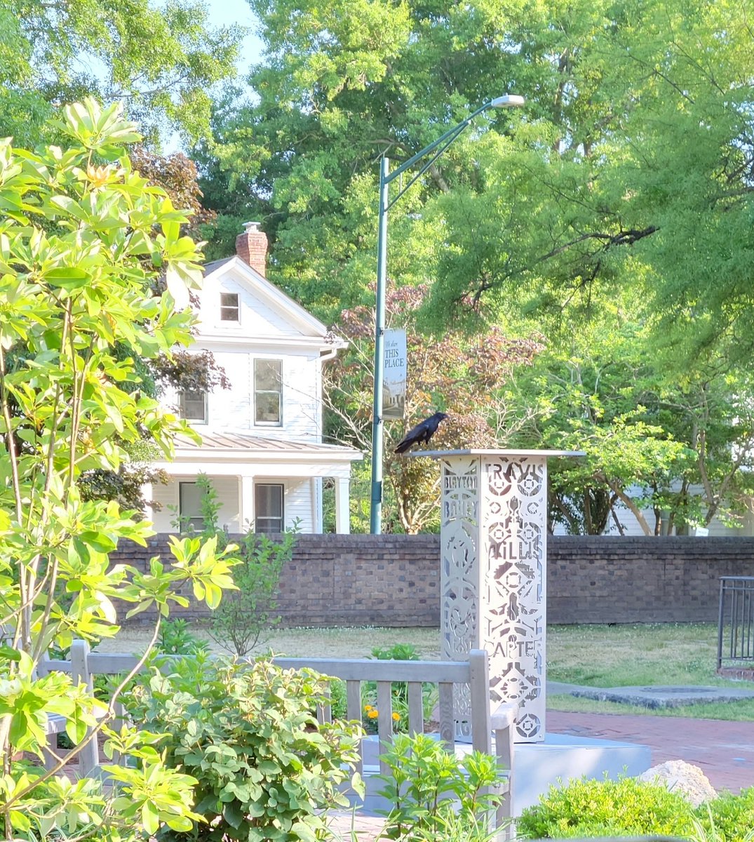 1FishStudio's tweet image. Waiting for Sankofa.....Creation of Sankofa Seed Sculpture at William &amp;amp; Mary, in front of Jefferson Hall. The project commemorates the first 3 African American resident students at W&amp;amp;M in 1967. Base assembly for the artwork.
@william_and_mary @muscarellemuseum #sankofaseed