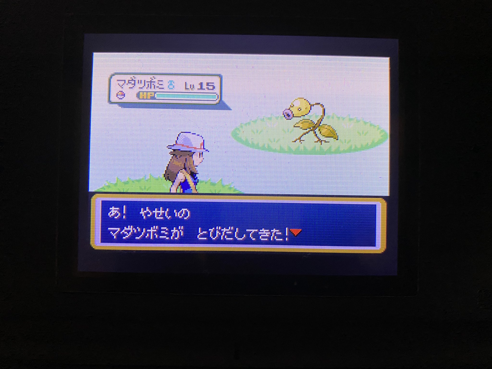 シン もなか リーフグリーンでまさかの色違いマダツボミが出てきました 笑 データ初期化して色違い御三家厳選からやり直すか悩んでたけど このままにすることにしました 笑 色違いミュウツー厳選もこのまま続行で 笑 ポケモン 色違い シン もなか リーフグリーンでまさかの色違いマダツボミが出てきました 笑 データ初期化して色違い御三家厳選からやり直すか悩んでたけど このままにすることにしました 笑 色違いミュウツー厳選もこのまま続行で 笑 ポケモン 色違い