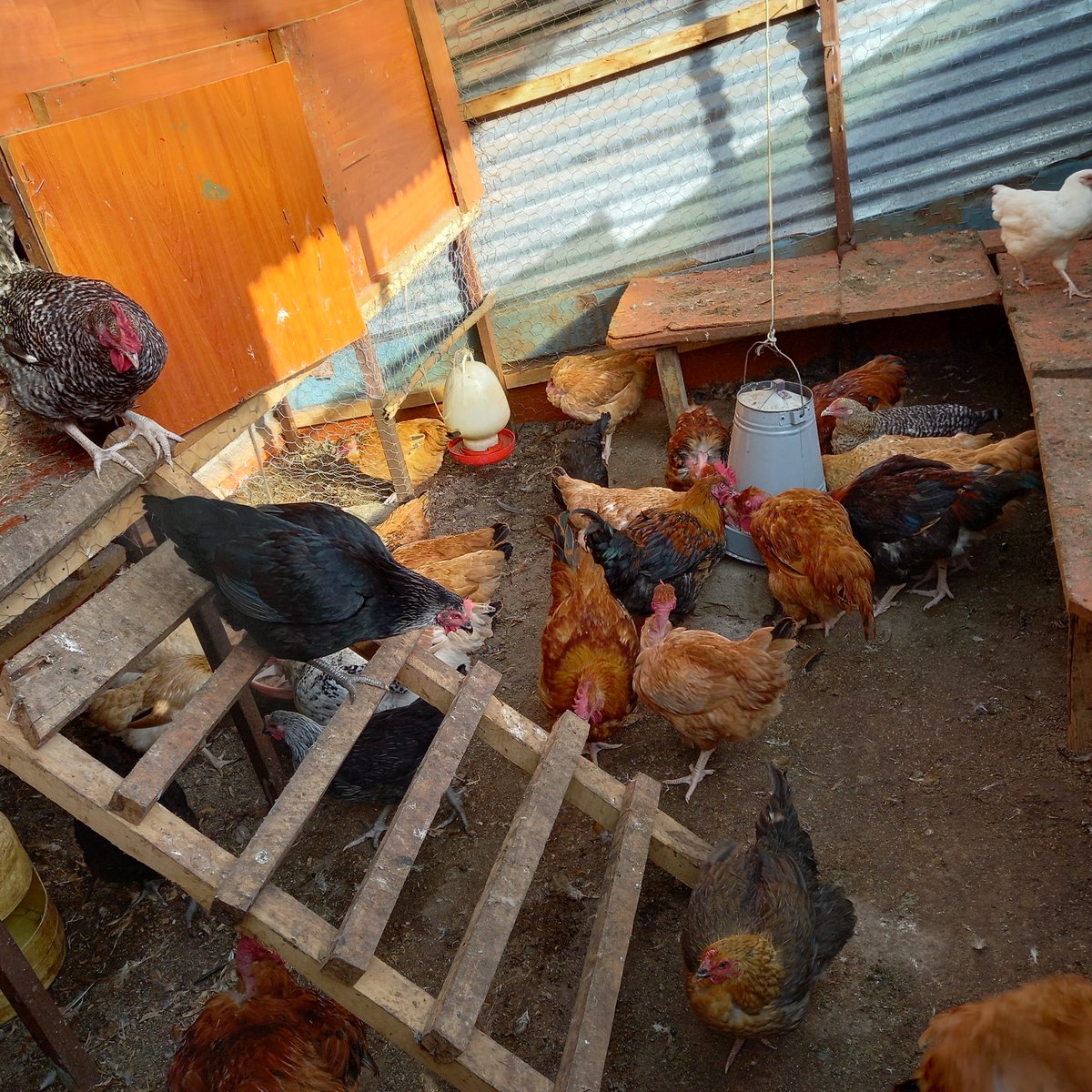 What you do makes a difference, and you have to decide what kind of difference you want to make #wegrowtogetherwithnooneleftbehind