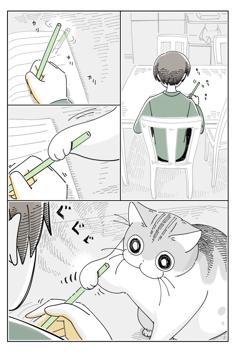 構って欲しいのが伝わってくる！あの手この手で作業を妨害し、気を引こうとする猫の可愛い漫画！