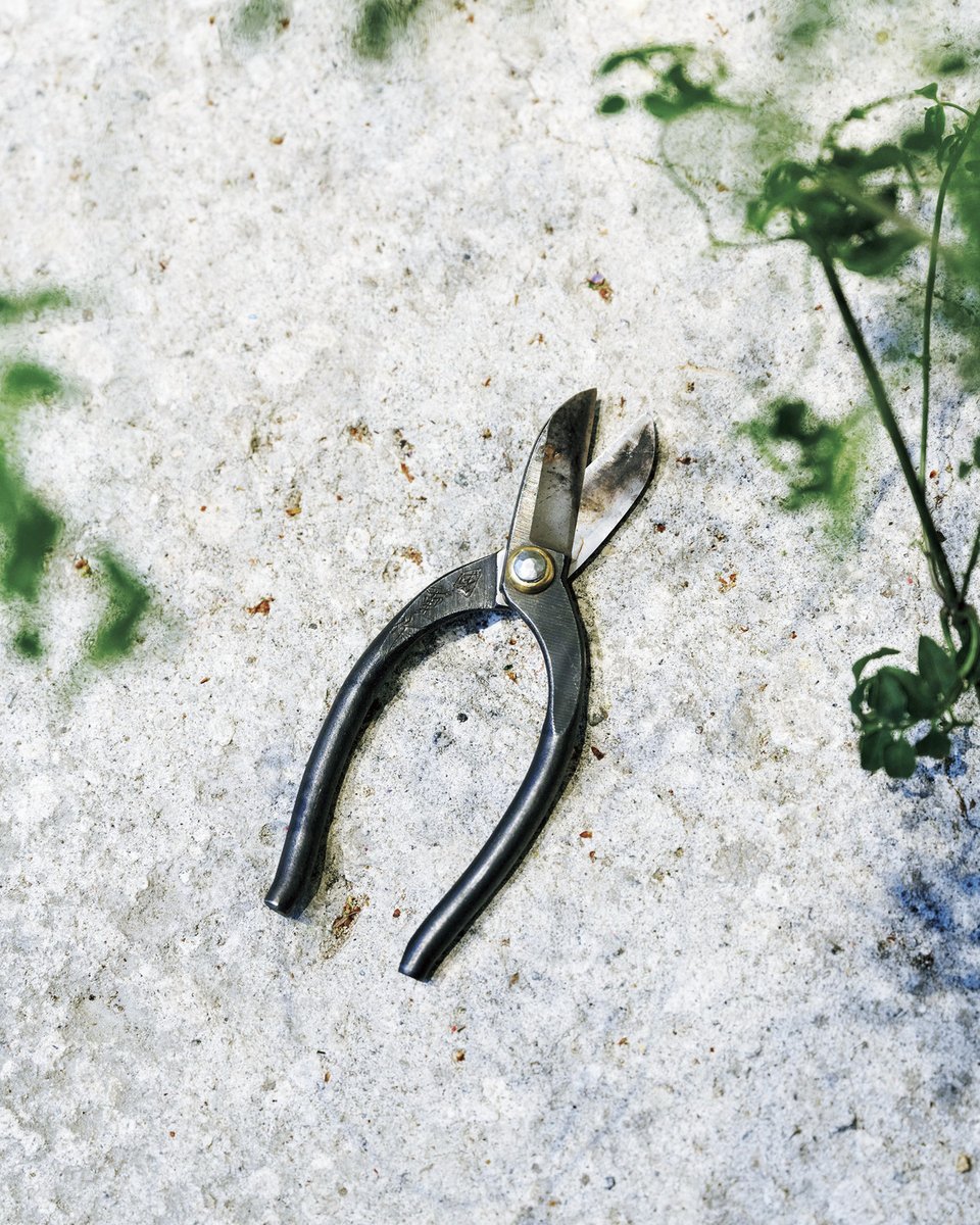 花鋏 Twitter Search