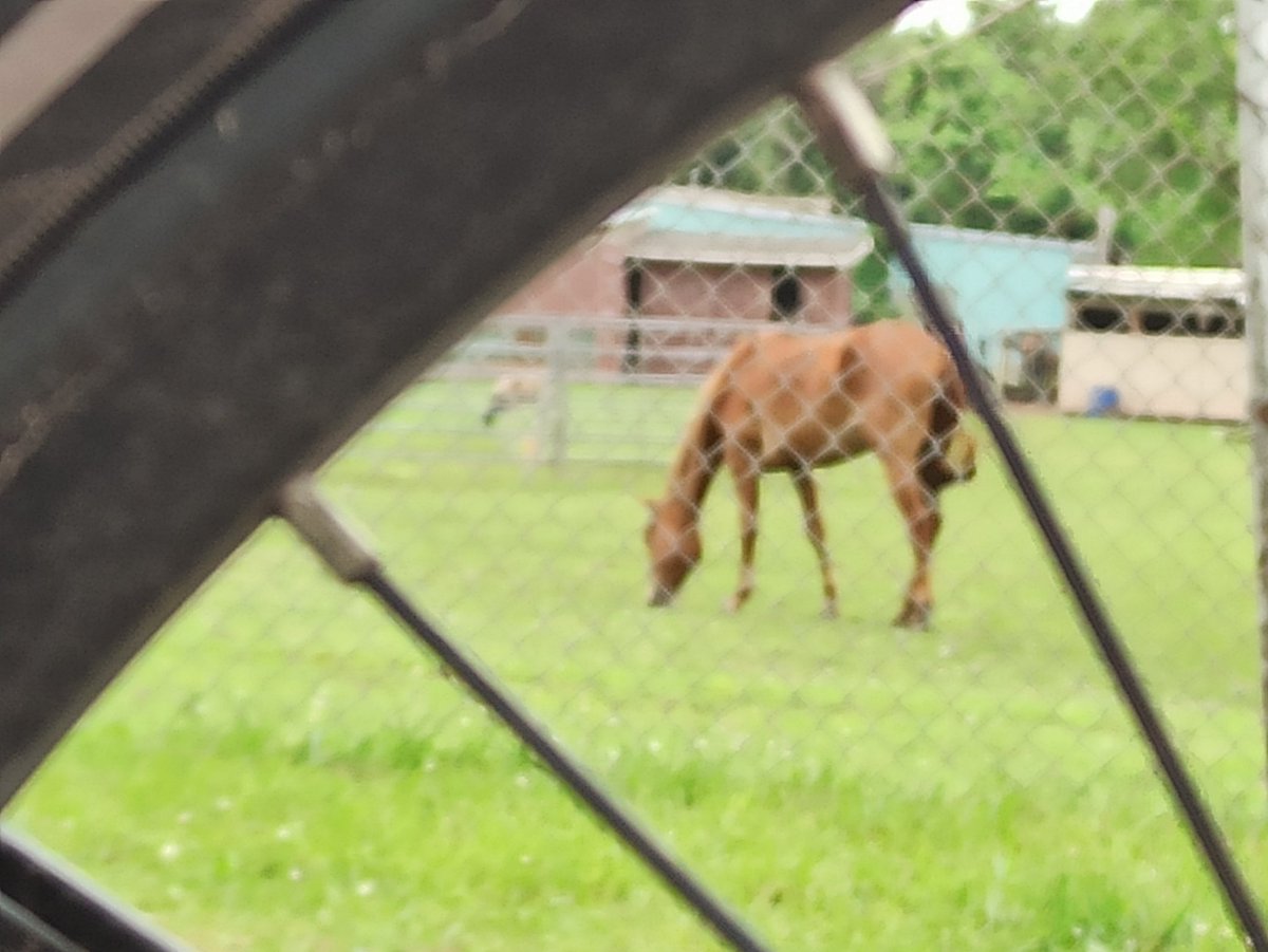 carlitecarfangs's tweet image. Early morning bulky errands, commute to daycare and work, and picking up tasty treats from @katiebugsokc @AutoAlleyOKC on the way home before the rain.

@ACOGOK scavenger hunt:
☑ bike rack
☑ favorite local shop

#BikeCentralOK
#BikeLocalShopLocal
#CargoBikeLife