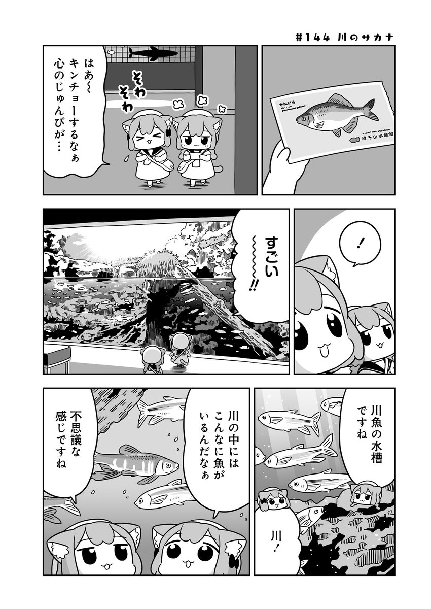ねこっぽい姉妹の生活
「#うめともものふつうの暮らし」
最新話が更新されました!
サカナが見れます🐟🐟🐟🐟
https://t.co/rSZe17MoGg
感想をツイート ボタンからのご感想も嬉しいです😸
🌟単行本2巻は5月31日発売‼️
単行本の情報はリプライ欄に👇