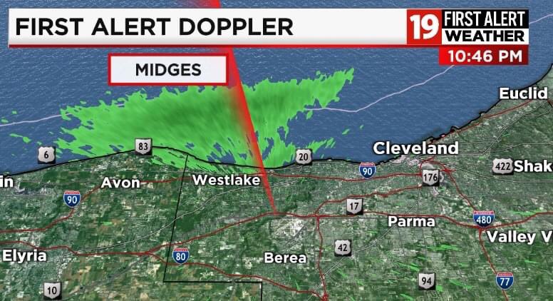 Midges Seen On Weather Radar Along Lake Erie Lakeshore