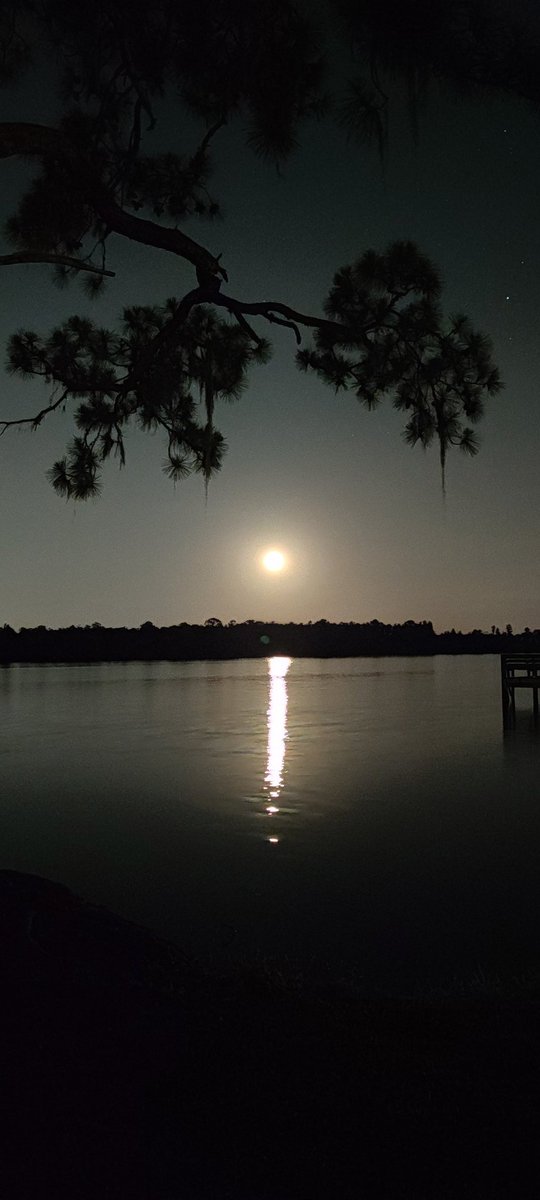 Sandra & Luis (@1stclassrvad) on Twitter photo Have you seen the moon 🌝 tonight?
Nature doesn't need a filter 📷
#fullmoon 
#nofilterneeded 
#1stClassRVadventures 
#rvlife
#rvlifestyle 
#gorving 
#toyhauler Have you seen the moon 🌝 tonight?
Nature doesn't need a filter 📷
#fullmoon 
#nofilterneeded 
#1stClassRVadventures 
#rvlife
#rvlifestyle 
#gorving 
#toyhauler