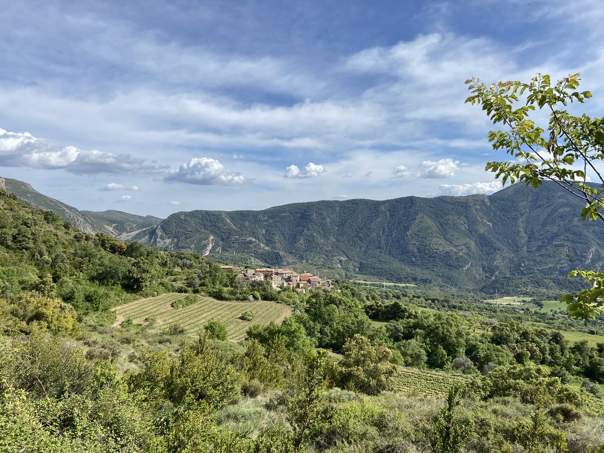 rtroyano's tweet photo. Pau, calma, quietud... Vinyes a + de 950 mts d’alçada a recer del Roc de #Pessonada i amb vistes al pantà de Sant Antoni. Un projecte transformador de vins naturals d’una família emprenedora q retorna la vinya al paisatge pirinenc #vitipirineu #vinspirineus #vicatalà https://t.co/F0qIejQjCL