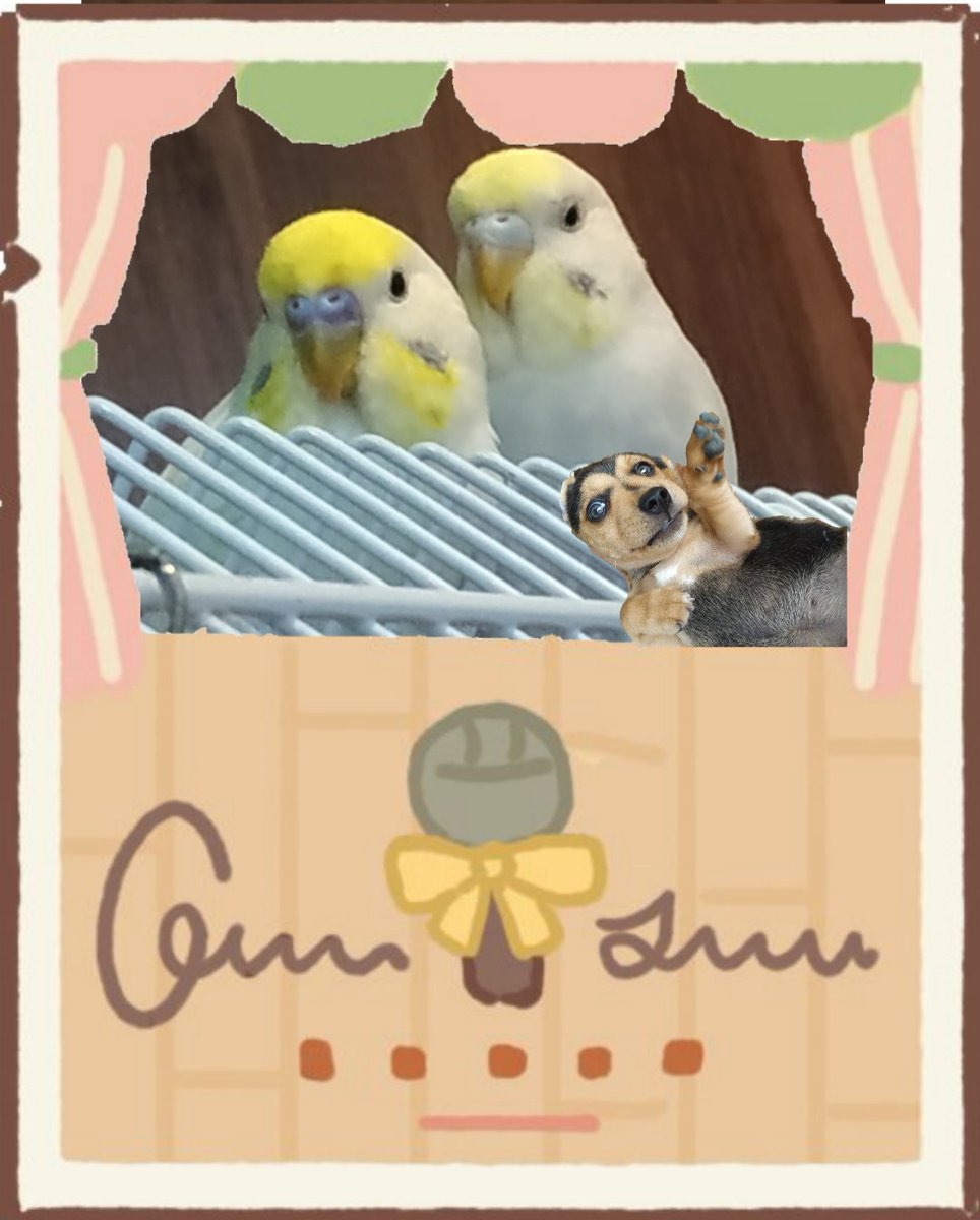 floatssomewhere's tweet photo. @AML_Restaurant Sage and Cotton with their backup dancer Gold lol 
#ARSNAPSHOTS 
#ARPOSTER https://t.co/mX9PB6Q7tQ