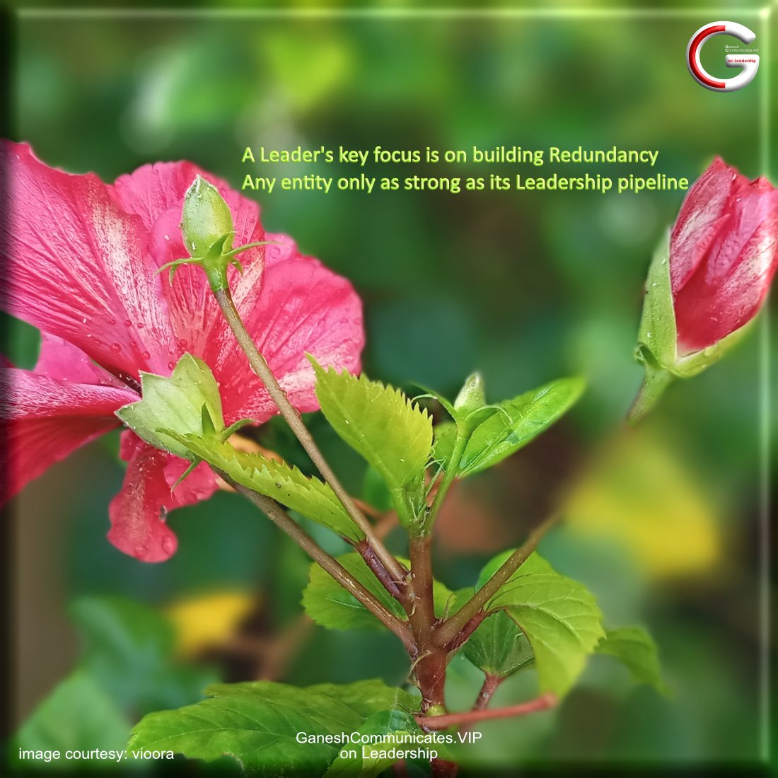 GCommunicates's tweet photo. Leadership  is  
not losing focus on building redundancy.

One of the key reasons for decline whether of Organizations or Dynasties is gap in Leadership.   Leadership Nurturing is a key element is Organization Development.

#Leadership #Pipeline #Redundancy #organizationaldevelop https://t.co/k0Up2EjSiC