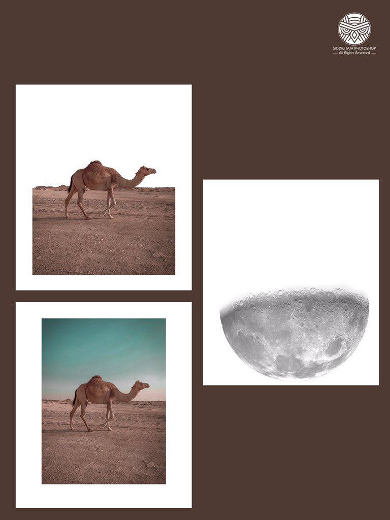 بہﯙمہ ٱللـﯦـڵ 𝕏 (@nightowl8900) on Twitter photo 